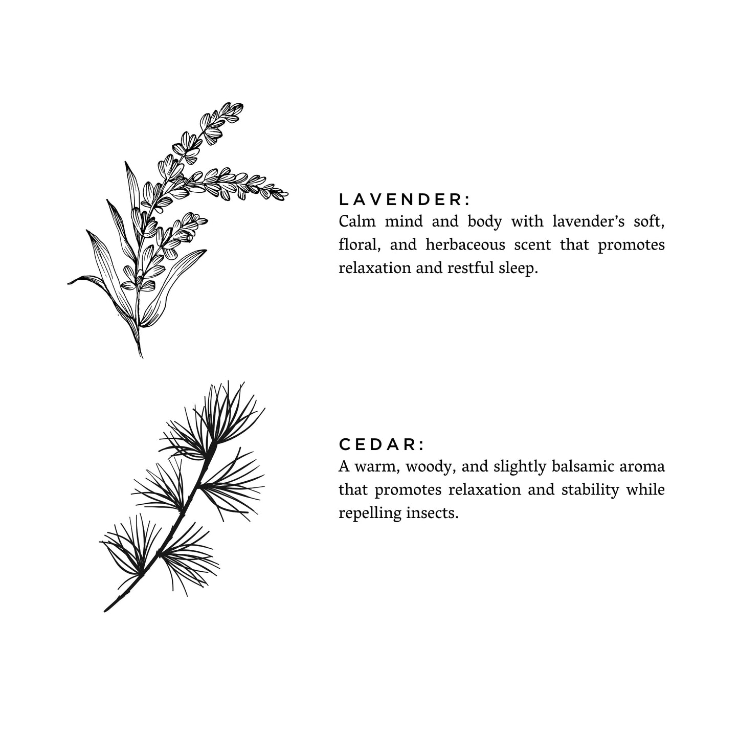 Lavender + Cedar Candle